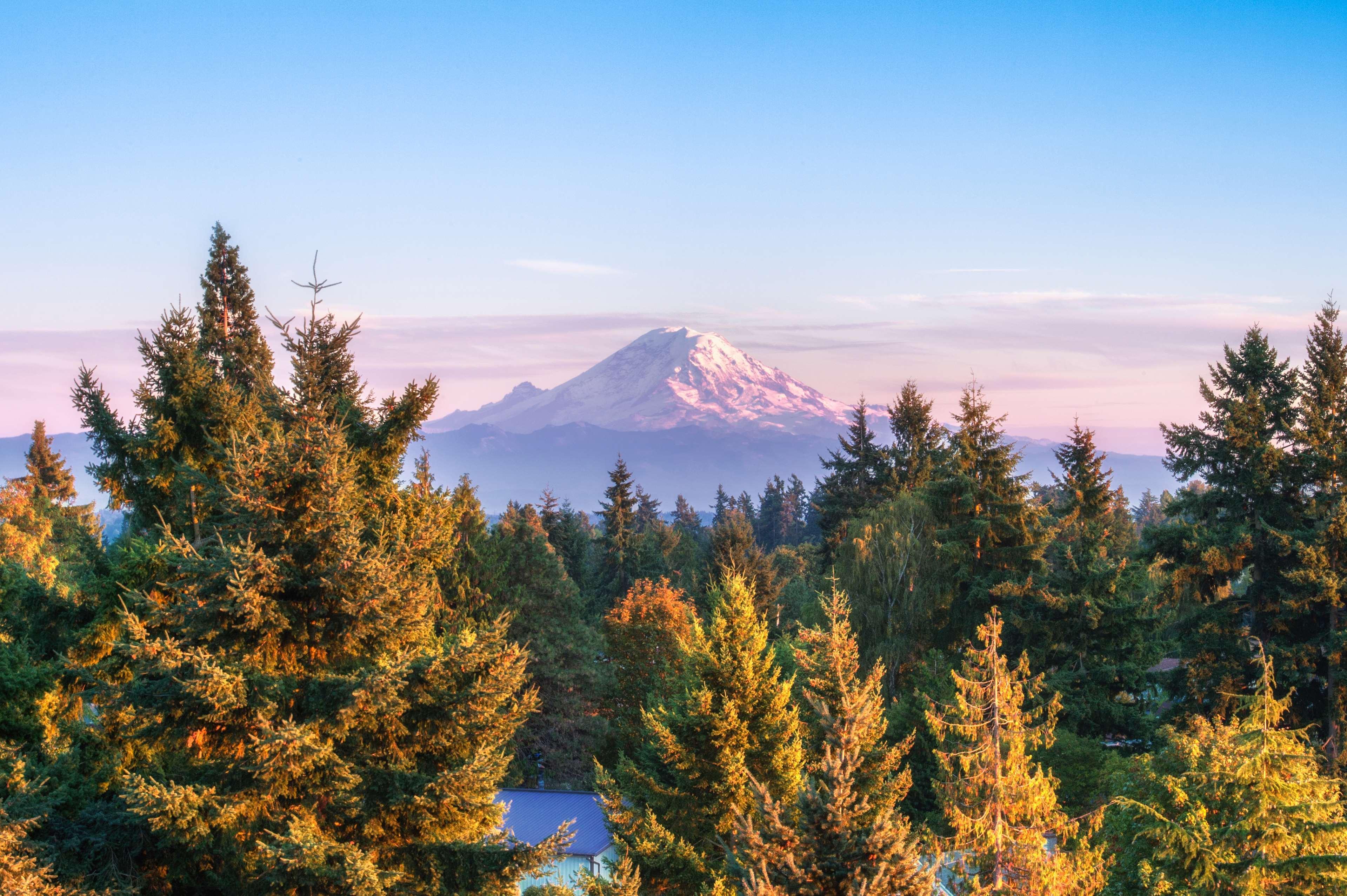 Doubletree By Hilton Seattle Airport Hotel SeaTac Bagian luar foto